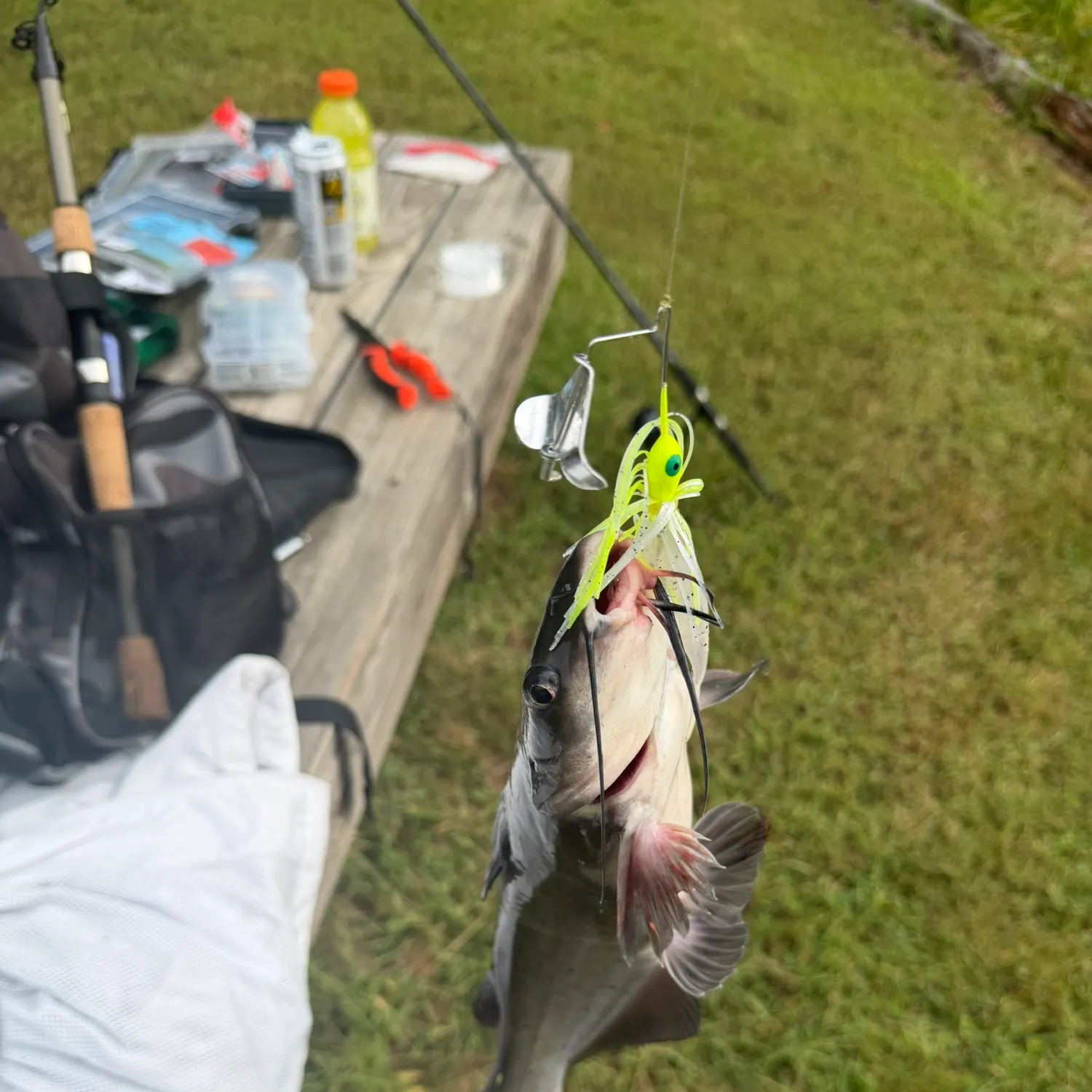 catch