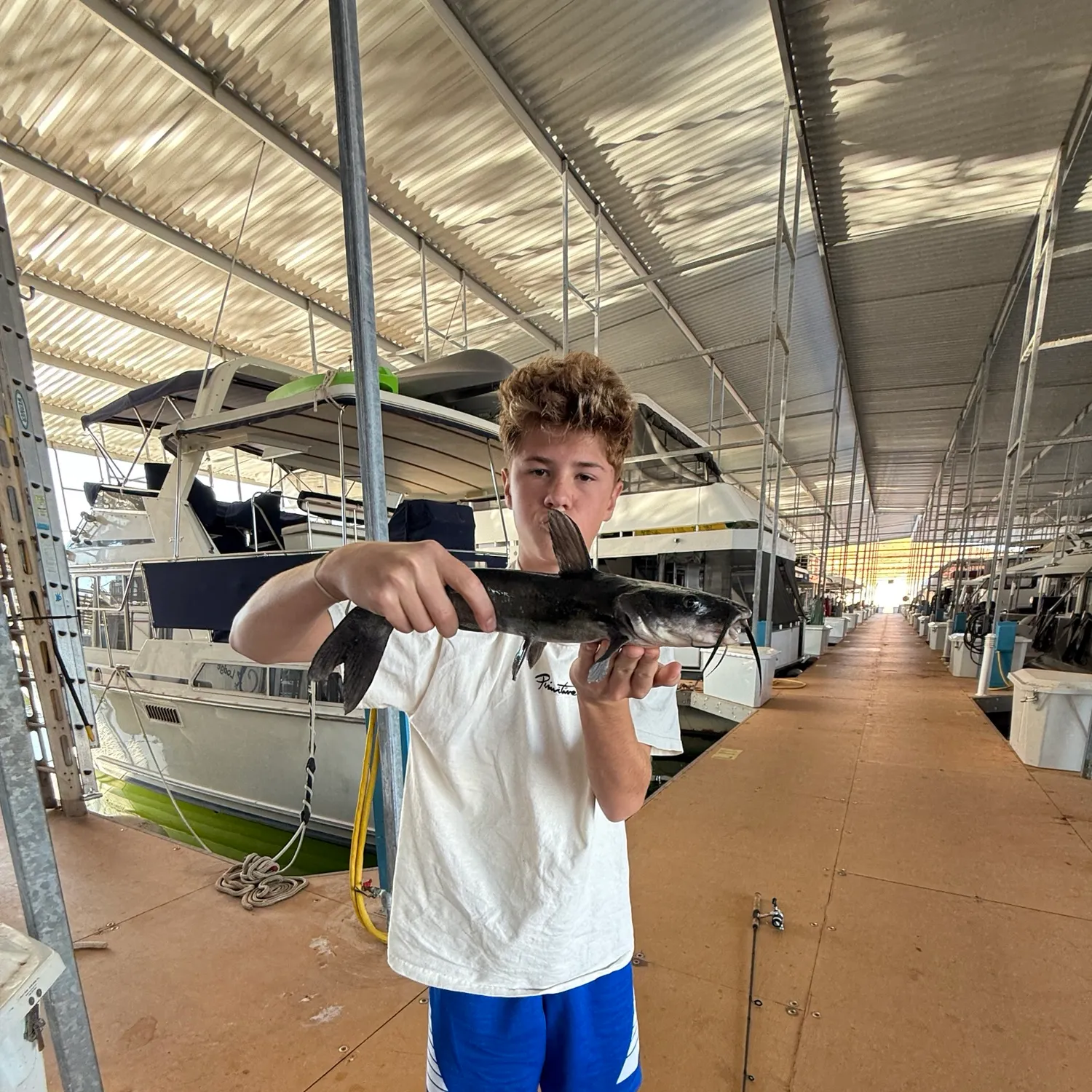 Channel catfish caught on Fishbrain