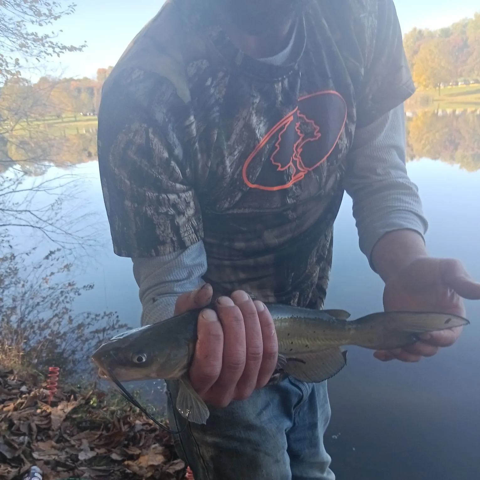 Channel catfish caught on Fishbrain