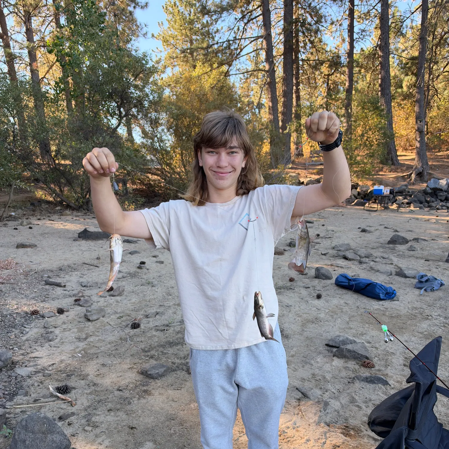 Yellow bullhead caught on Fishbrain