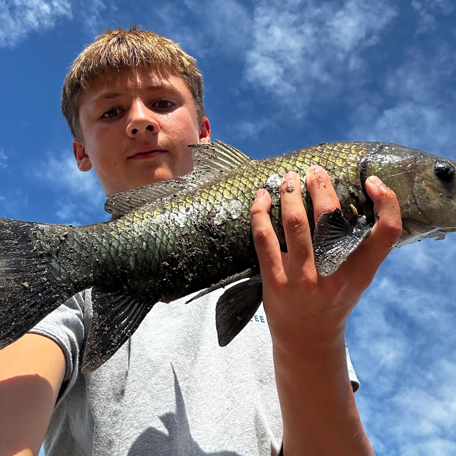 The most recent Black buffalo catches on Fishbrain