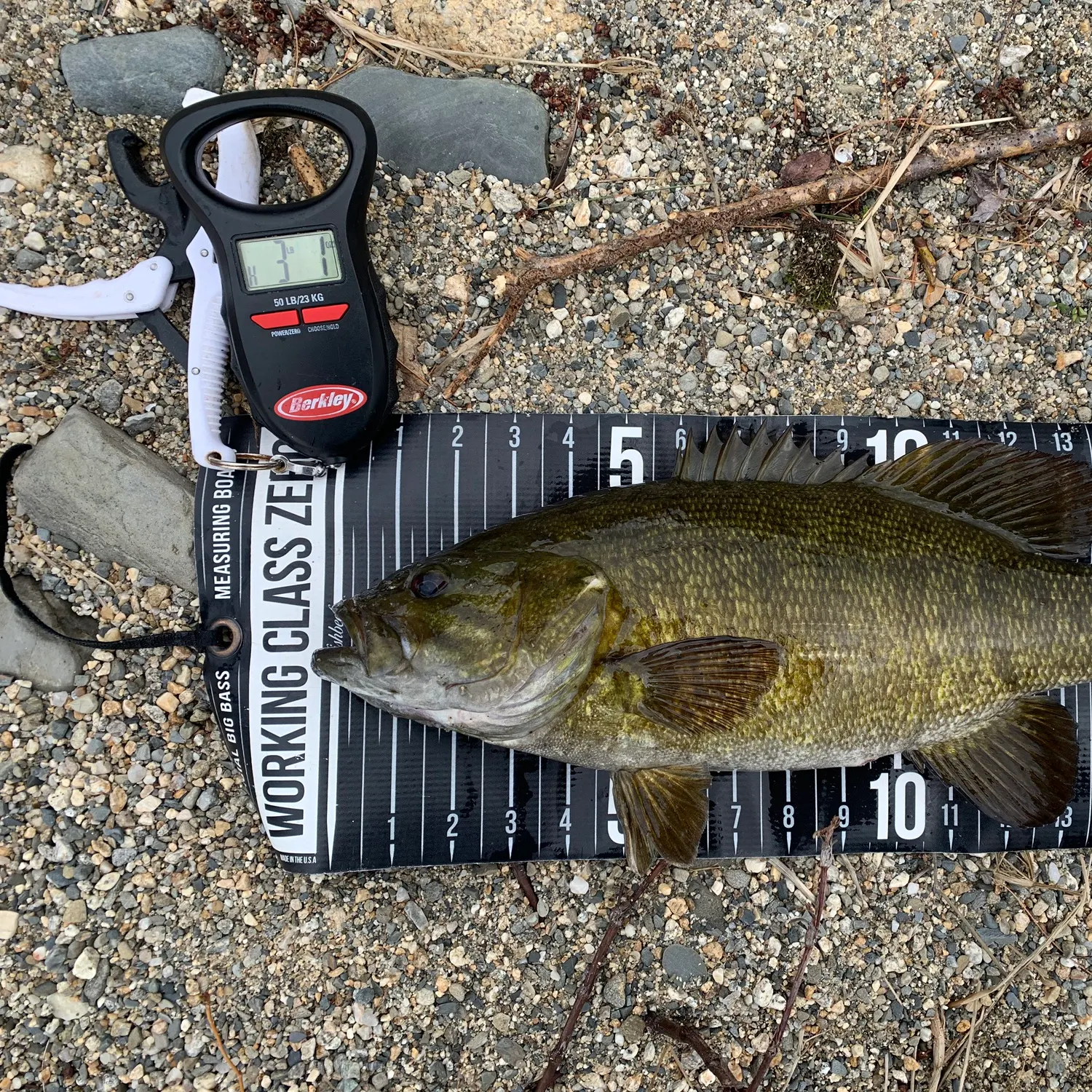 angler catch