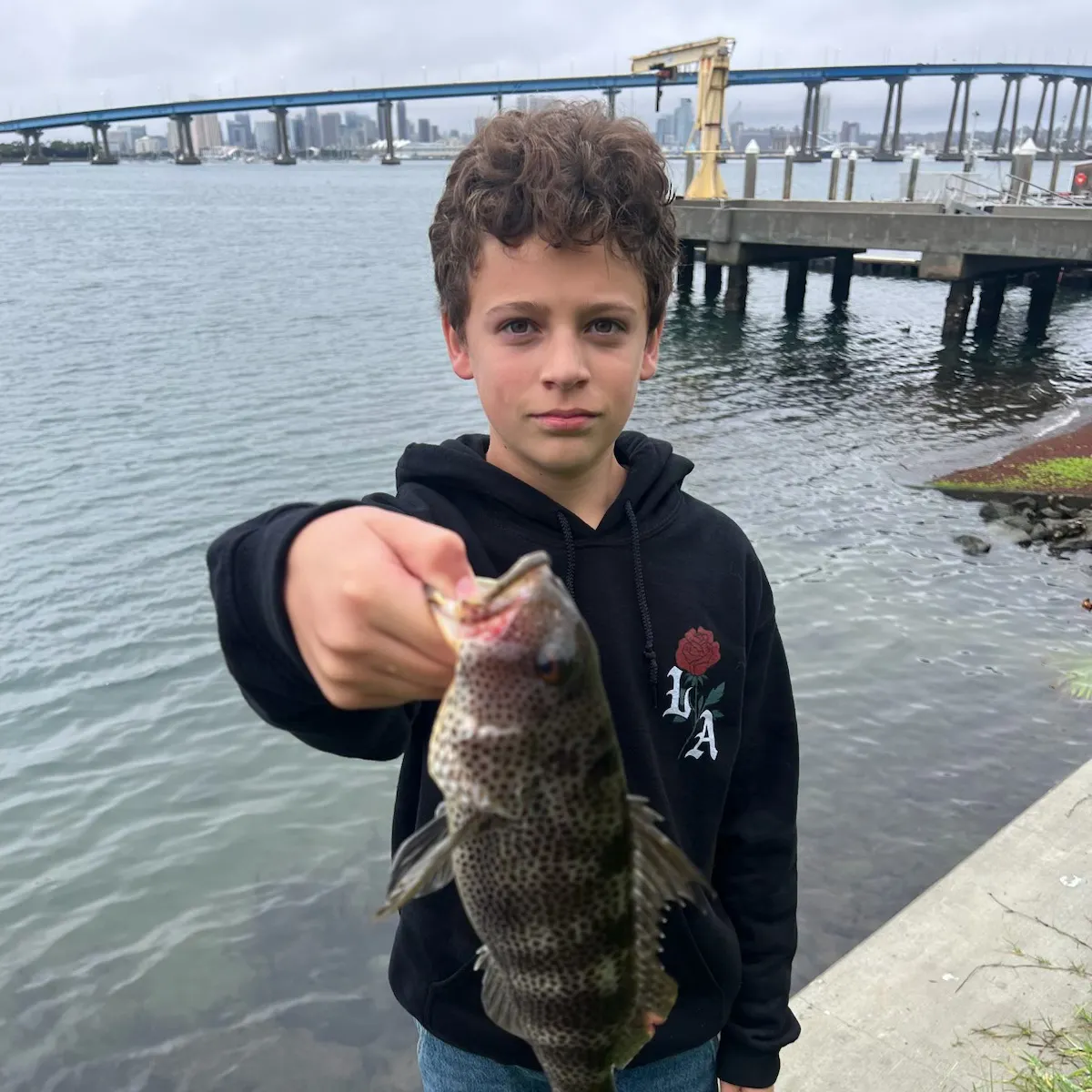The most recent Spotted sand bass catches on Fishbrain