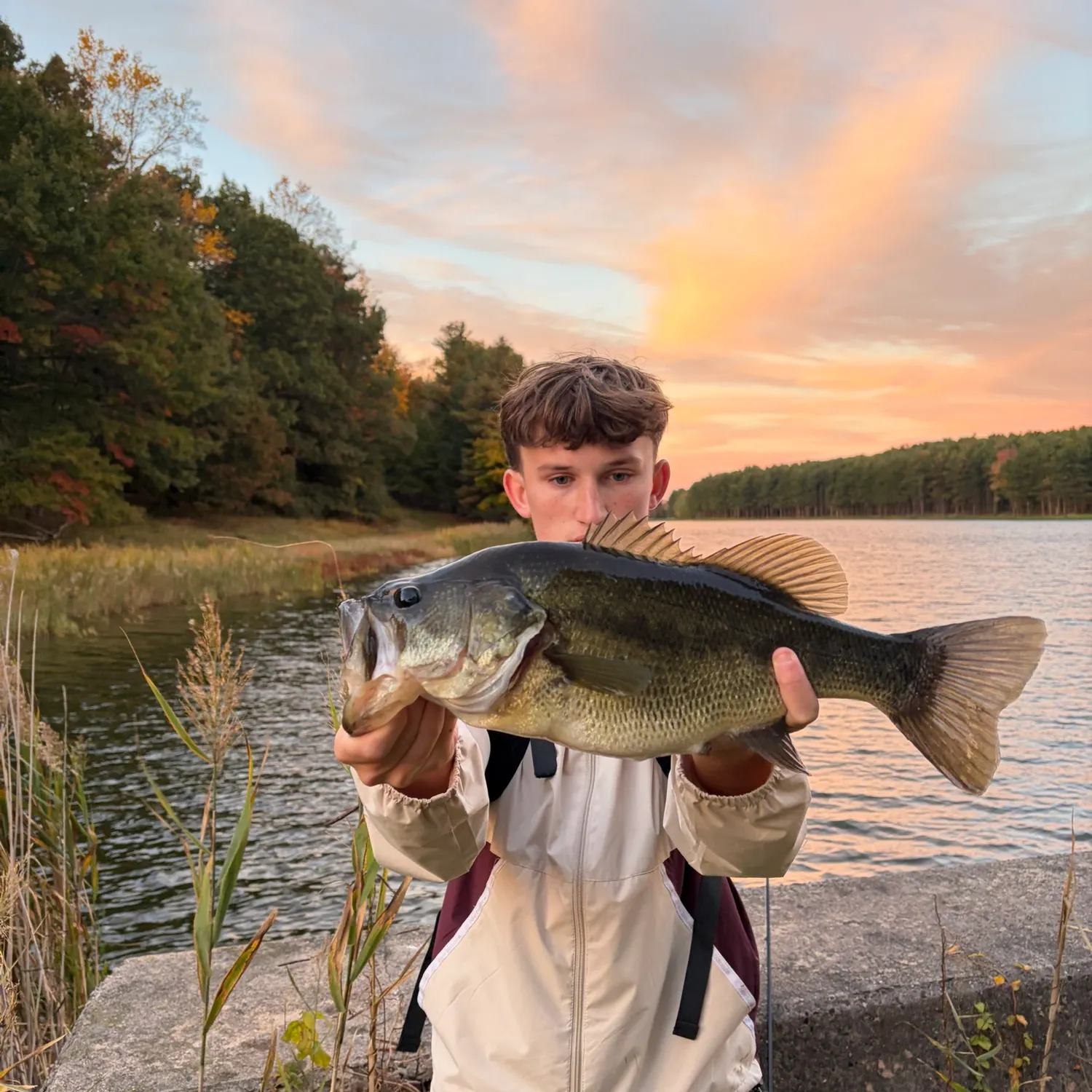 Largemouth bass caught on Fishbrain