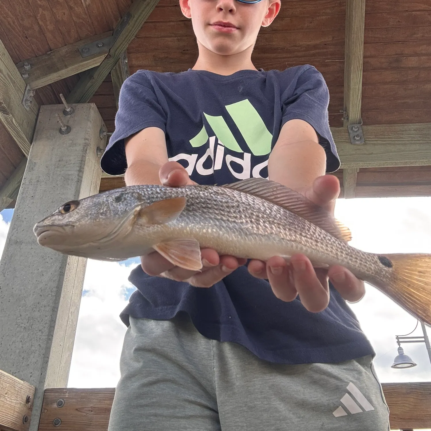 Red drum caught on Fishbrain