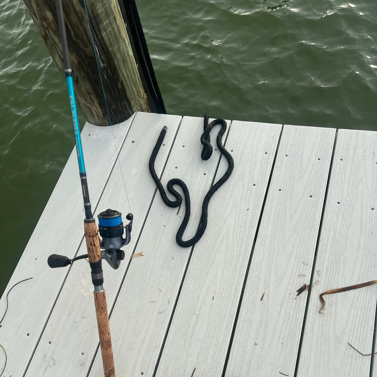 Spanish mackerel caught on Fishbrain