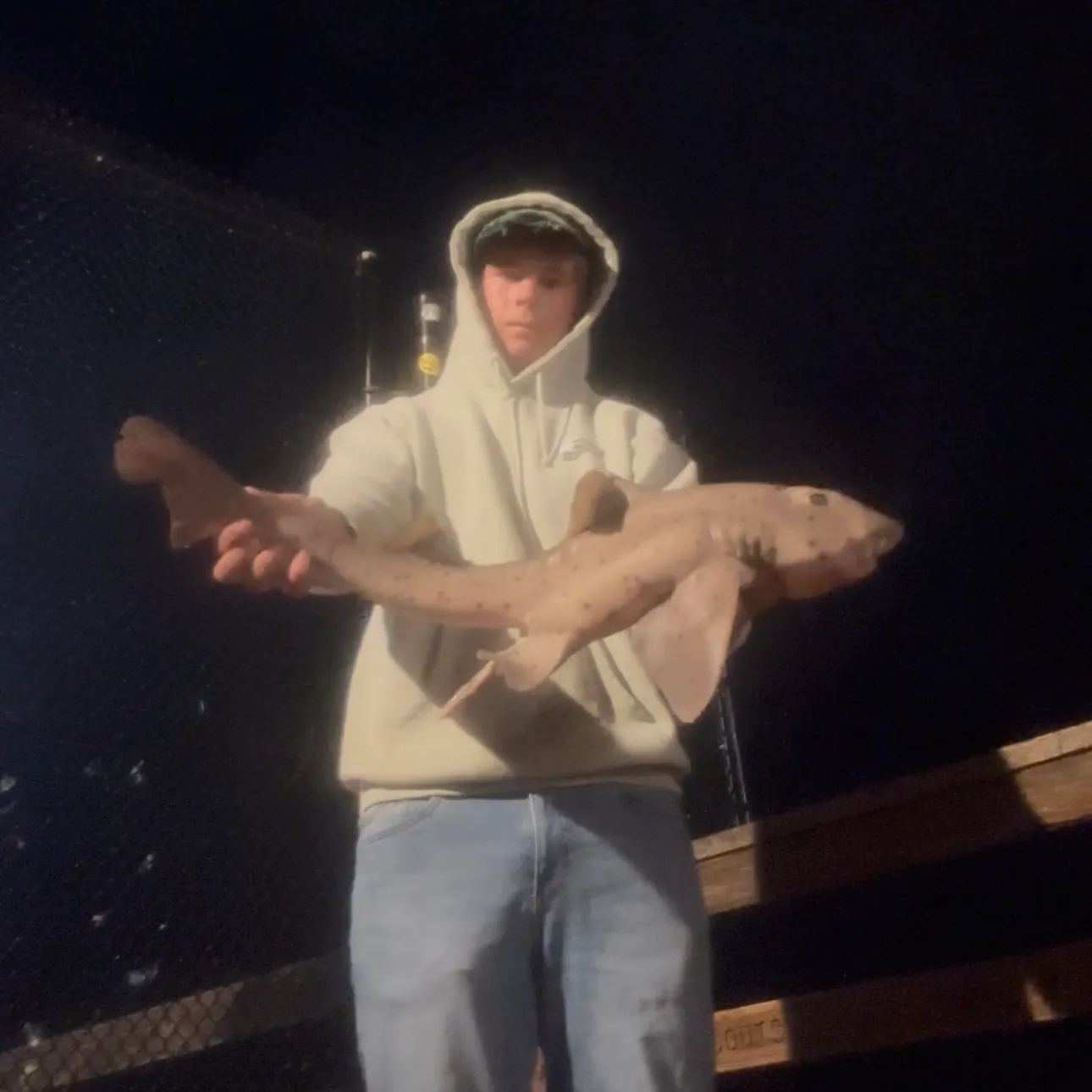 The most recent Horn shark catches on Fishbrain