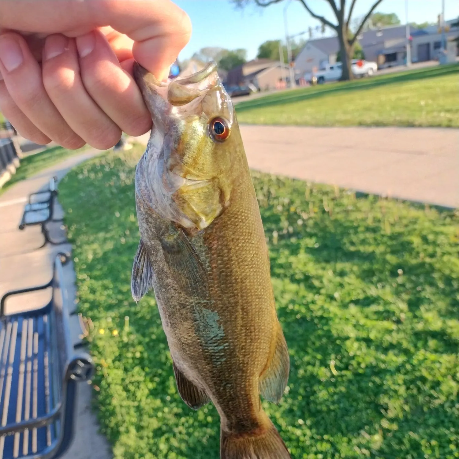 catch