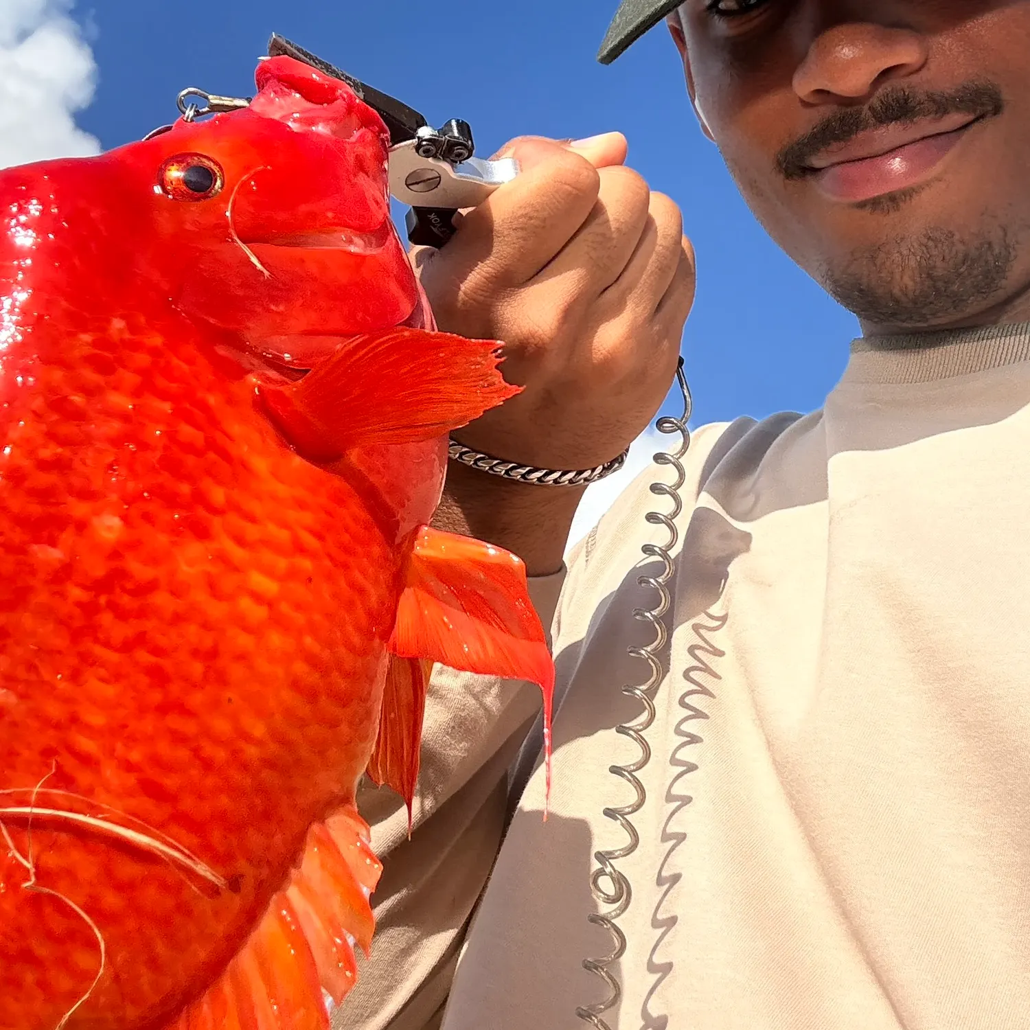 The most recent Midas cichlid catches on Fishbrain