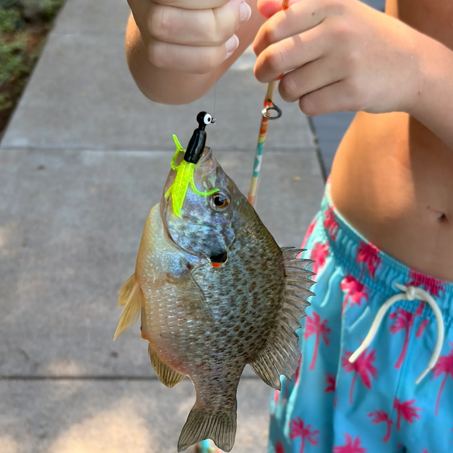 catch