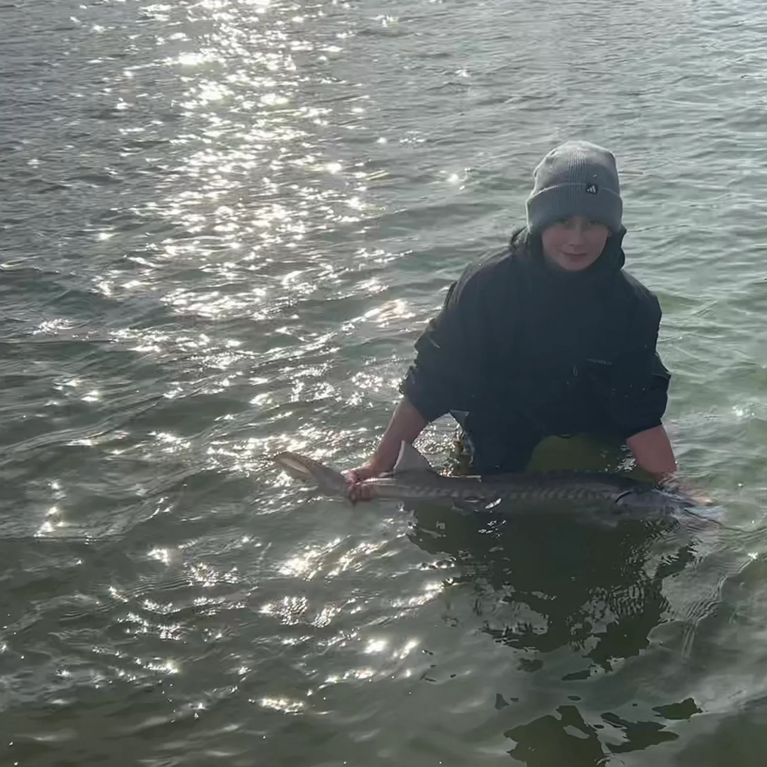 The most recent White sturgeon catches on Fishbrain