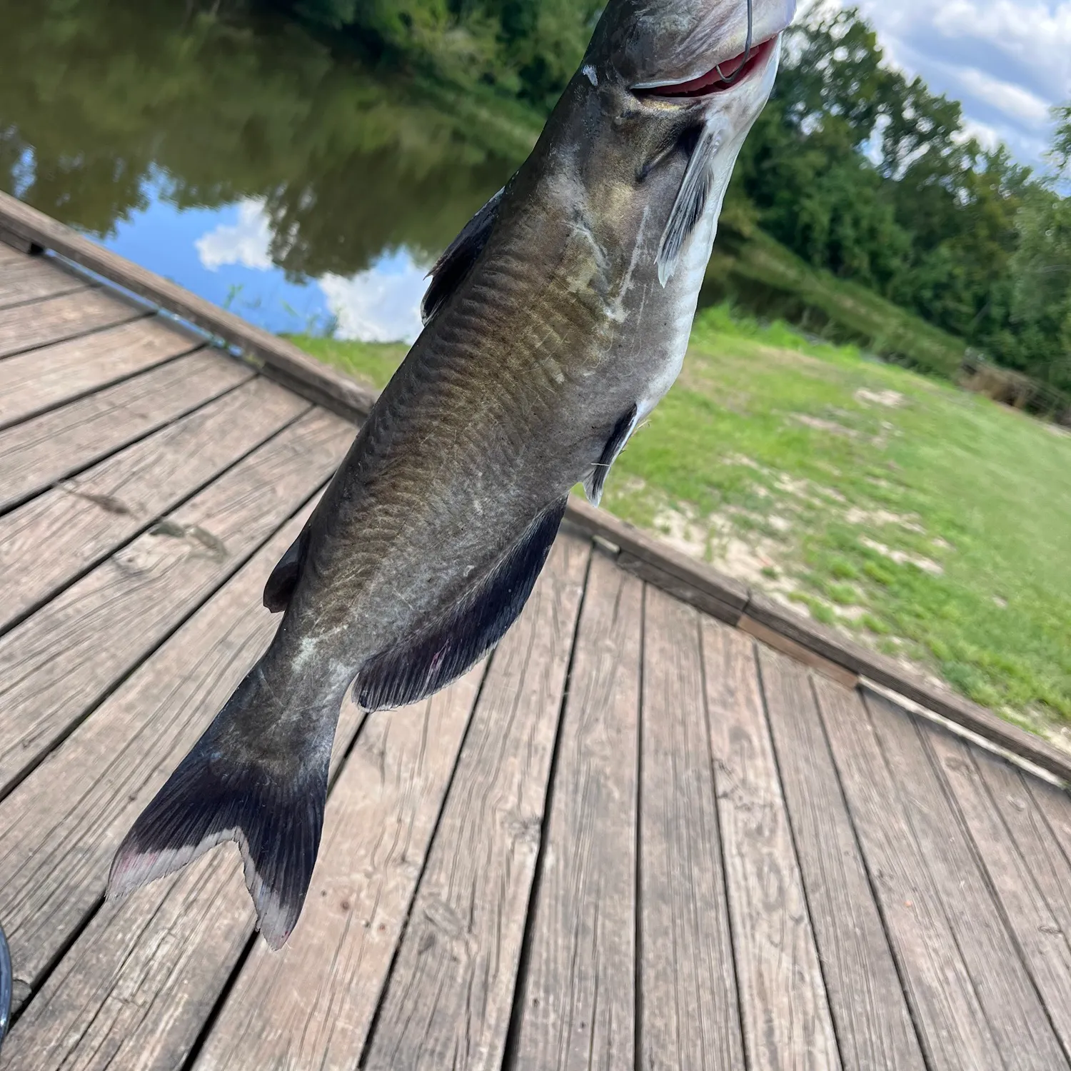 catch