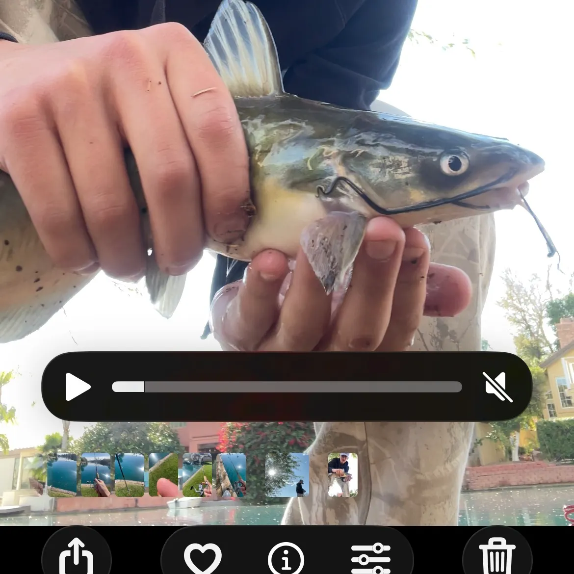 recently logged catches