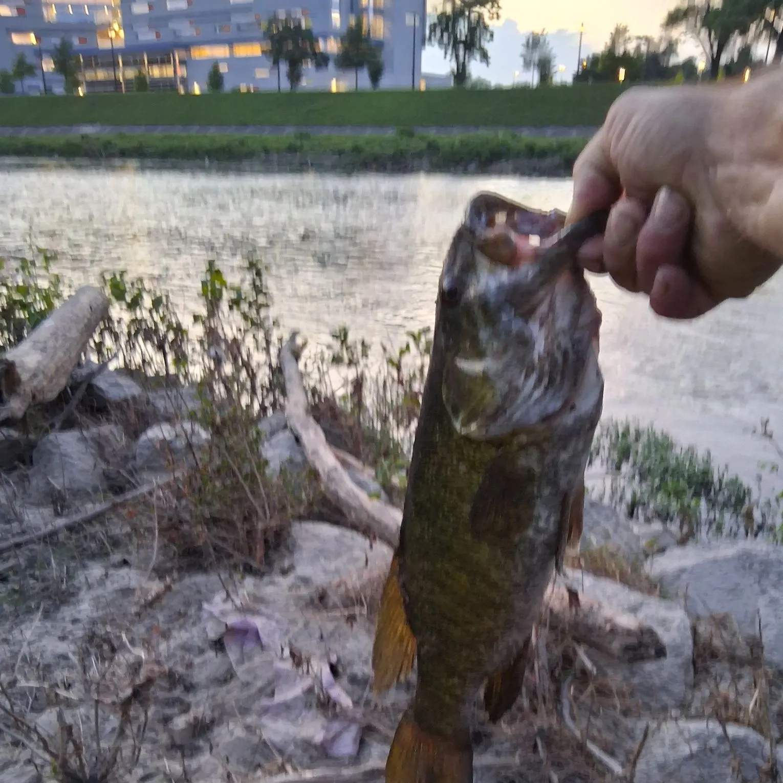 catch
