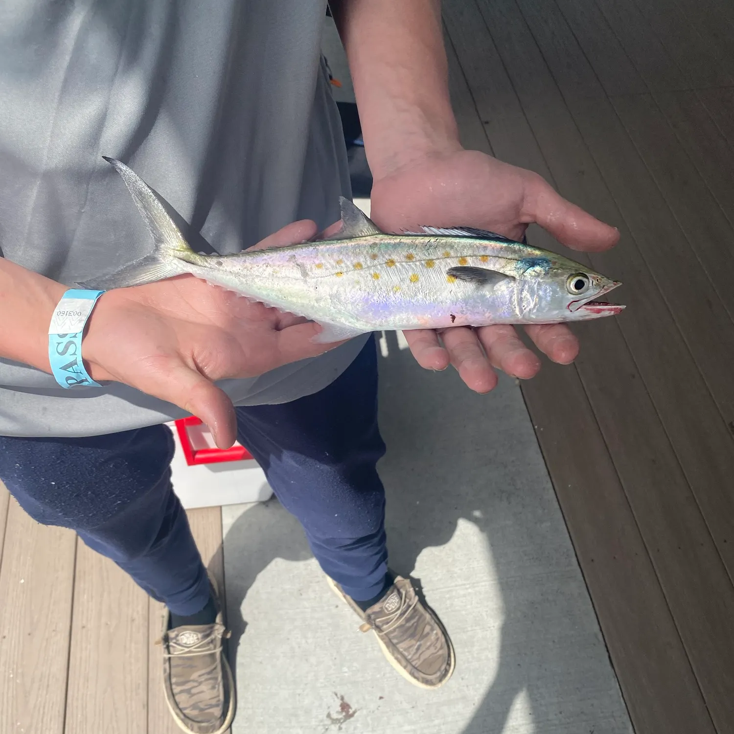 catch