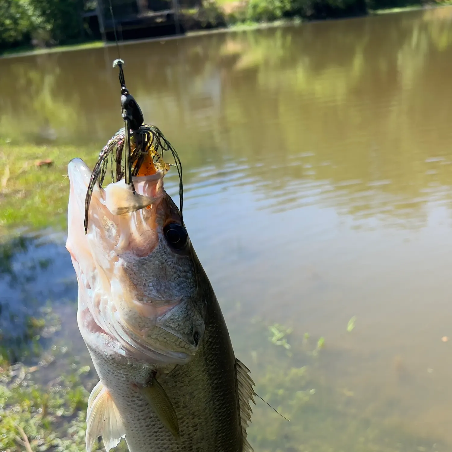 angler catch