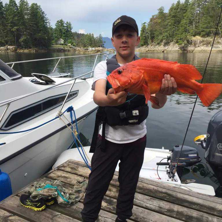Fish caught on Fishbrain
