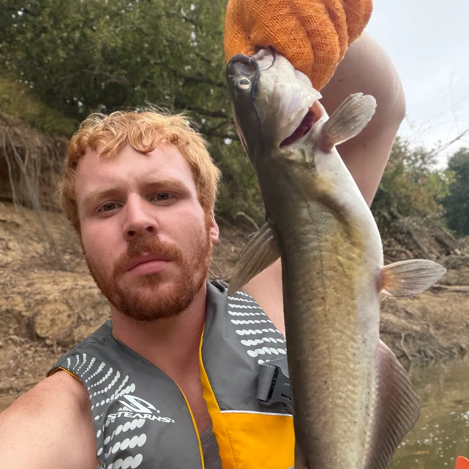 Channel catfish caught on Fishbrain