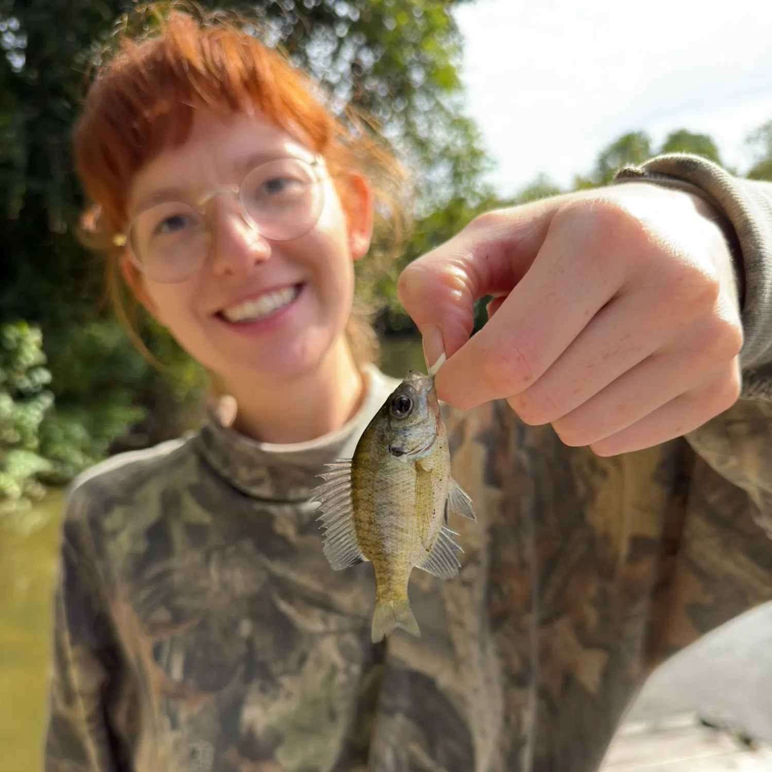 Bluegill caught on Fishbrain