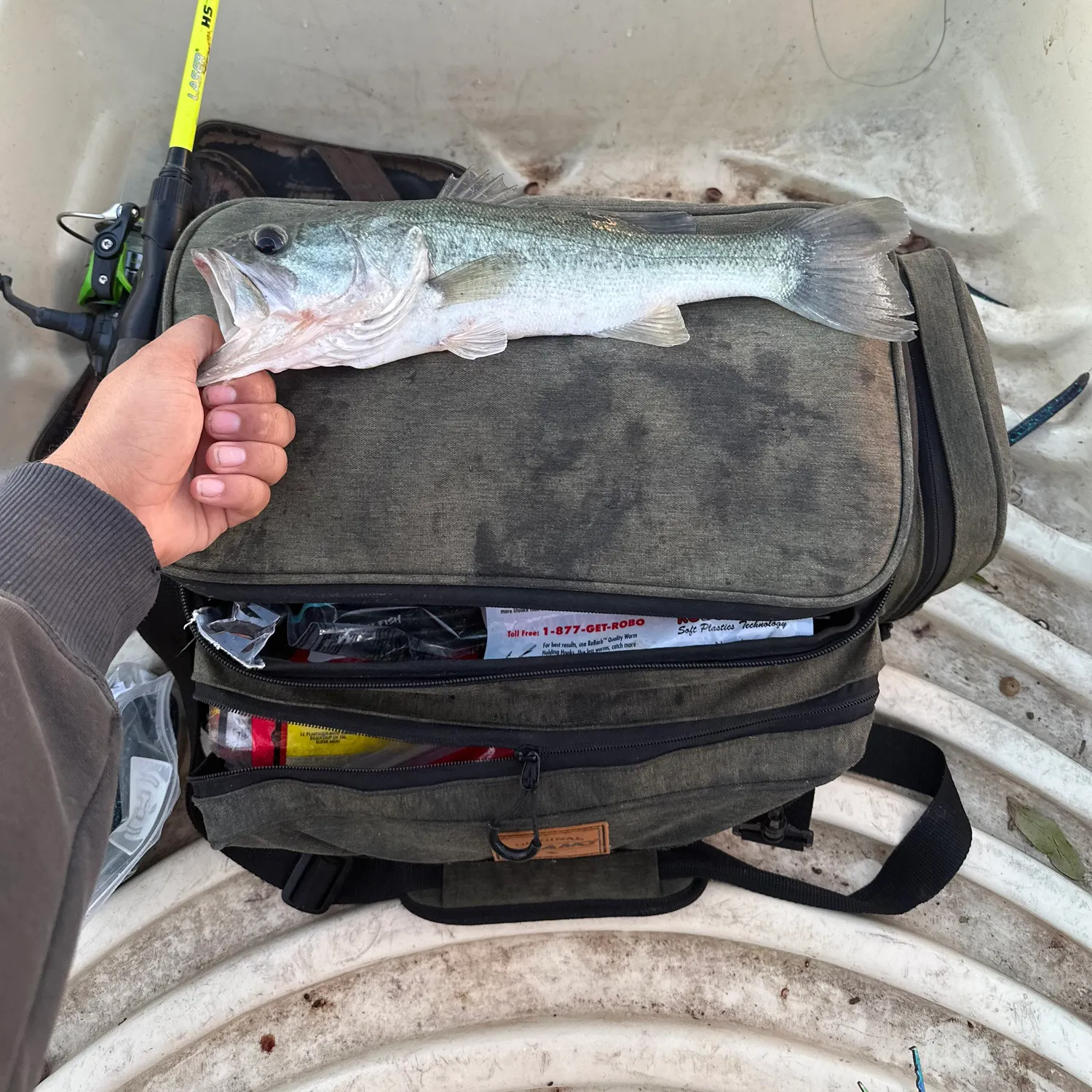 Largemouth bass caught on Fishbrain