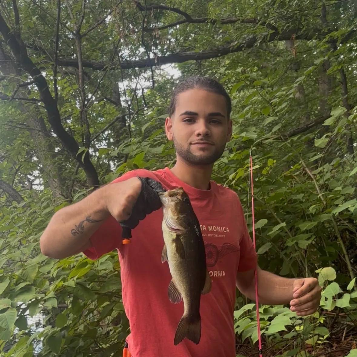 Fish caught on Fishbrain