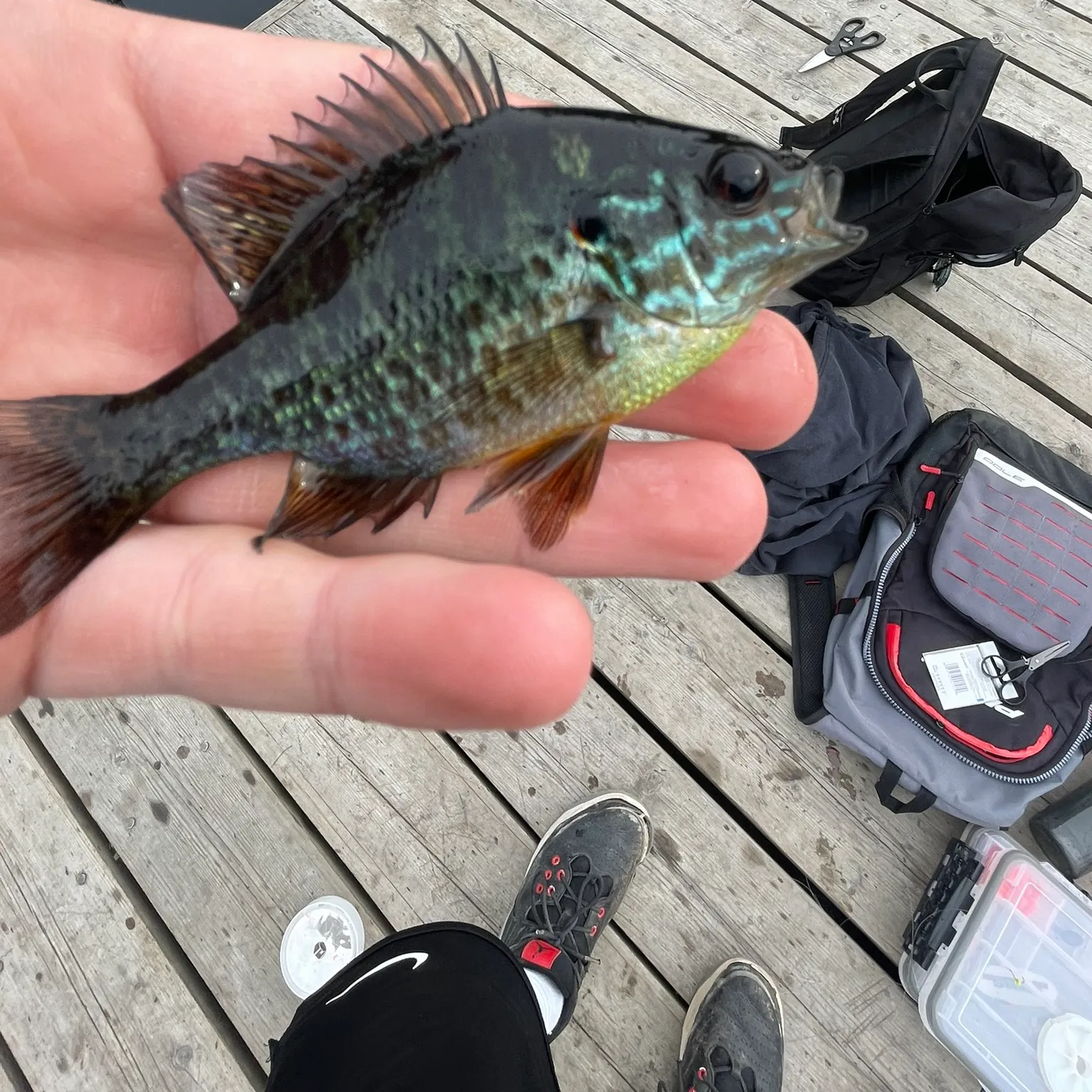 catch