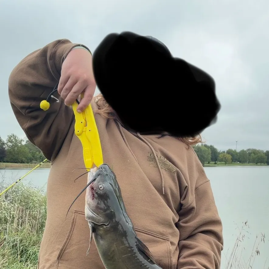 Channel catfish caught on Fishbrain