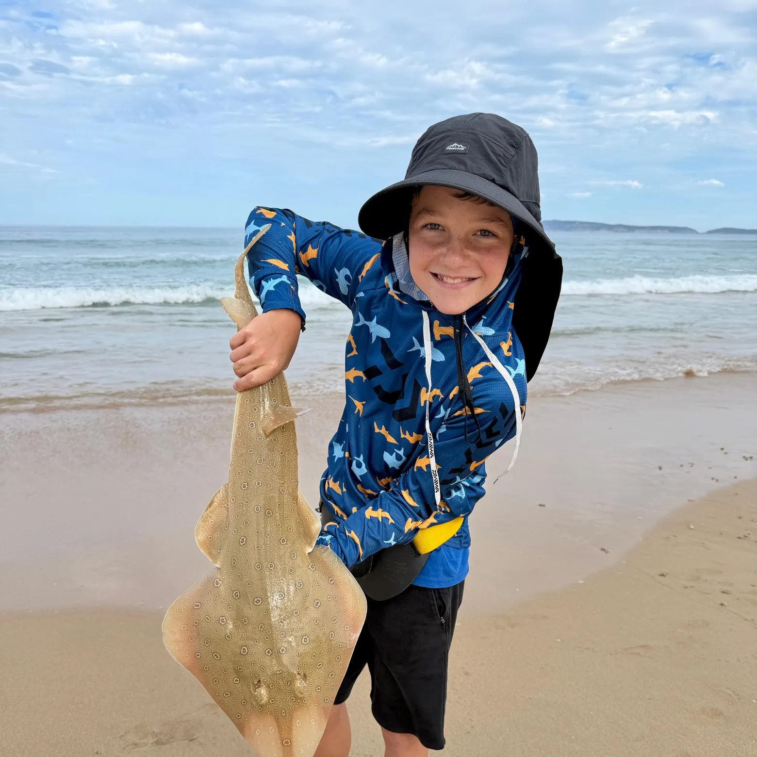 The most recent Lesser sandshark catches on Fishbrain