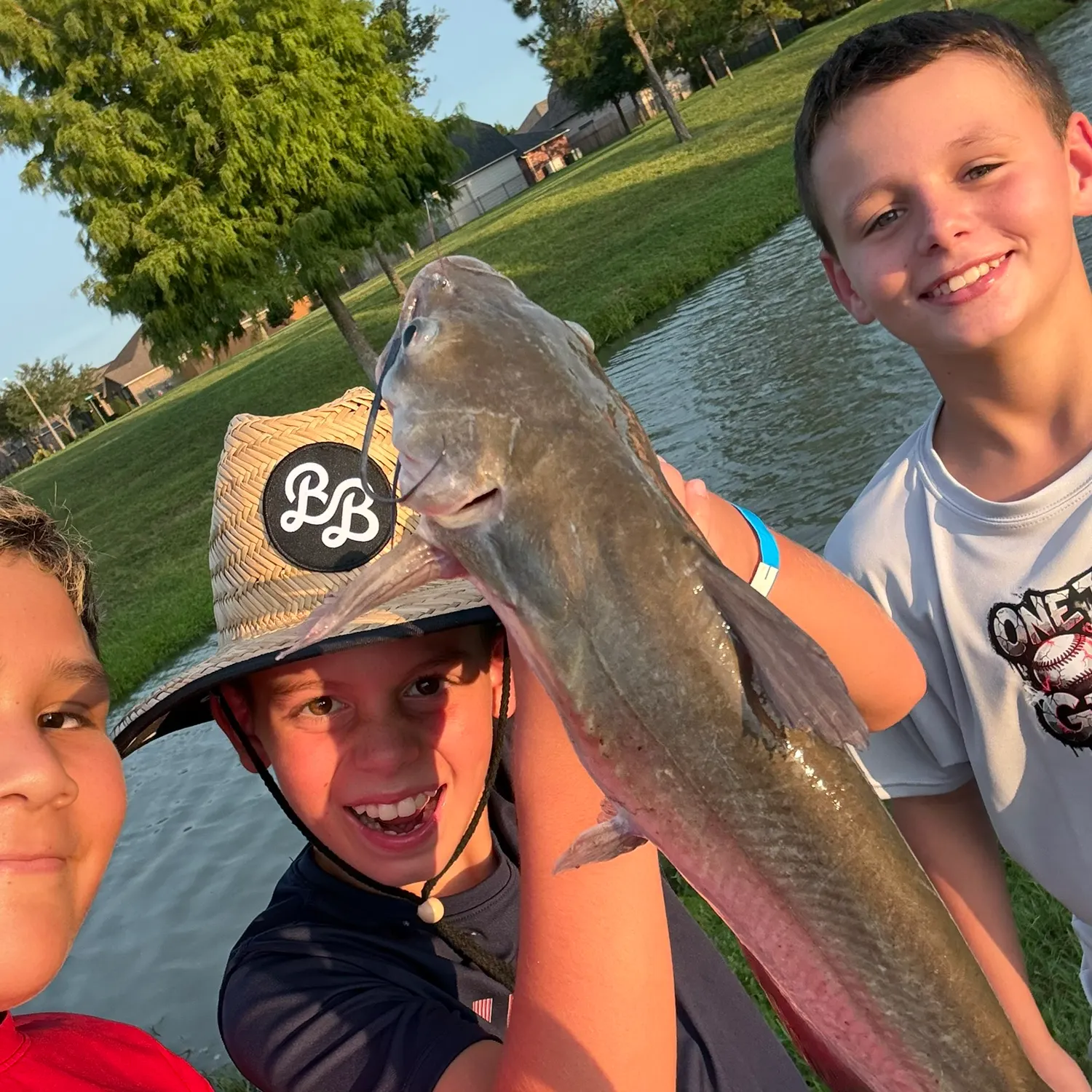 Channel catfish caught on Fishbrain