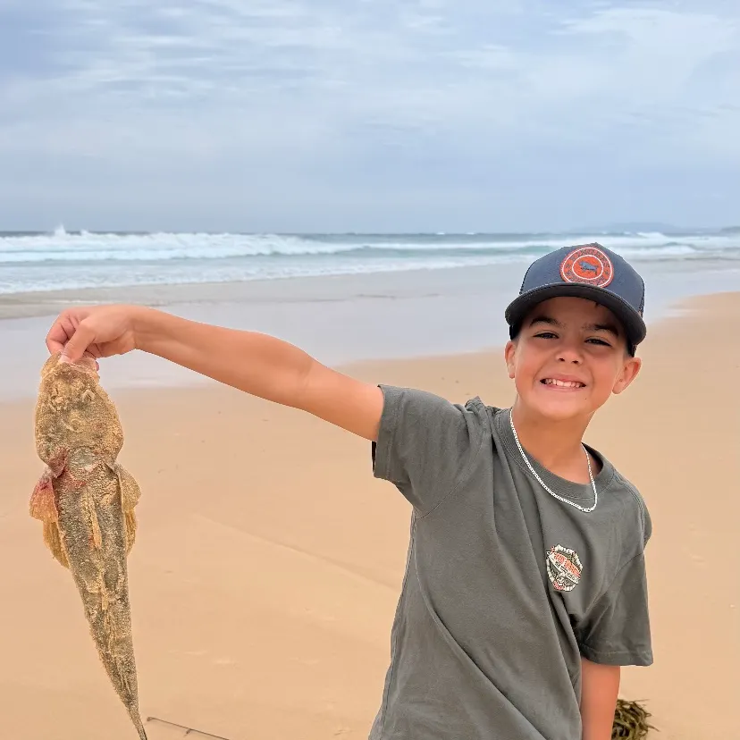 The most recent Dusky flathead catches on Fishbrain