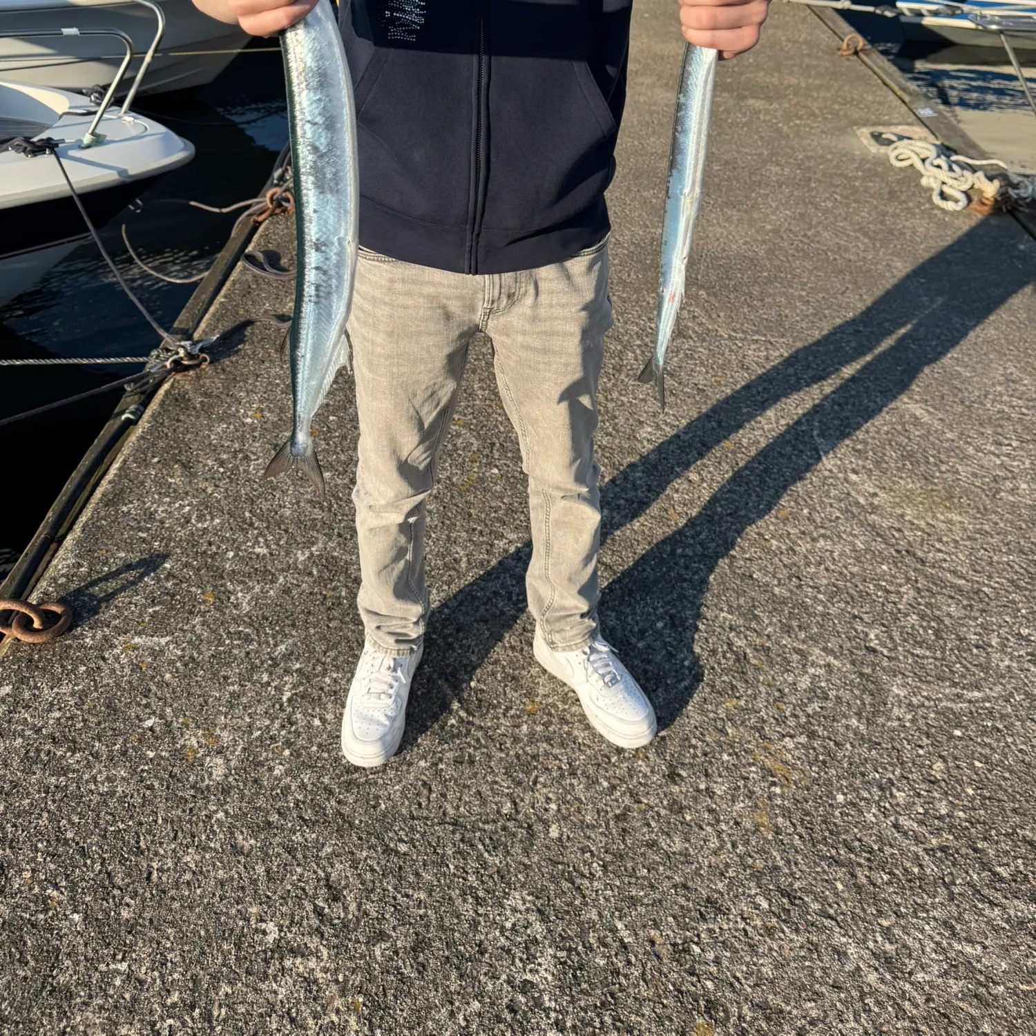 The most recent European garfish catches on Fishbrain
