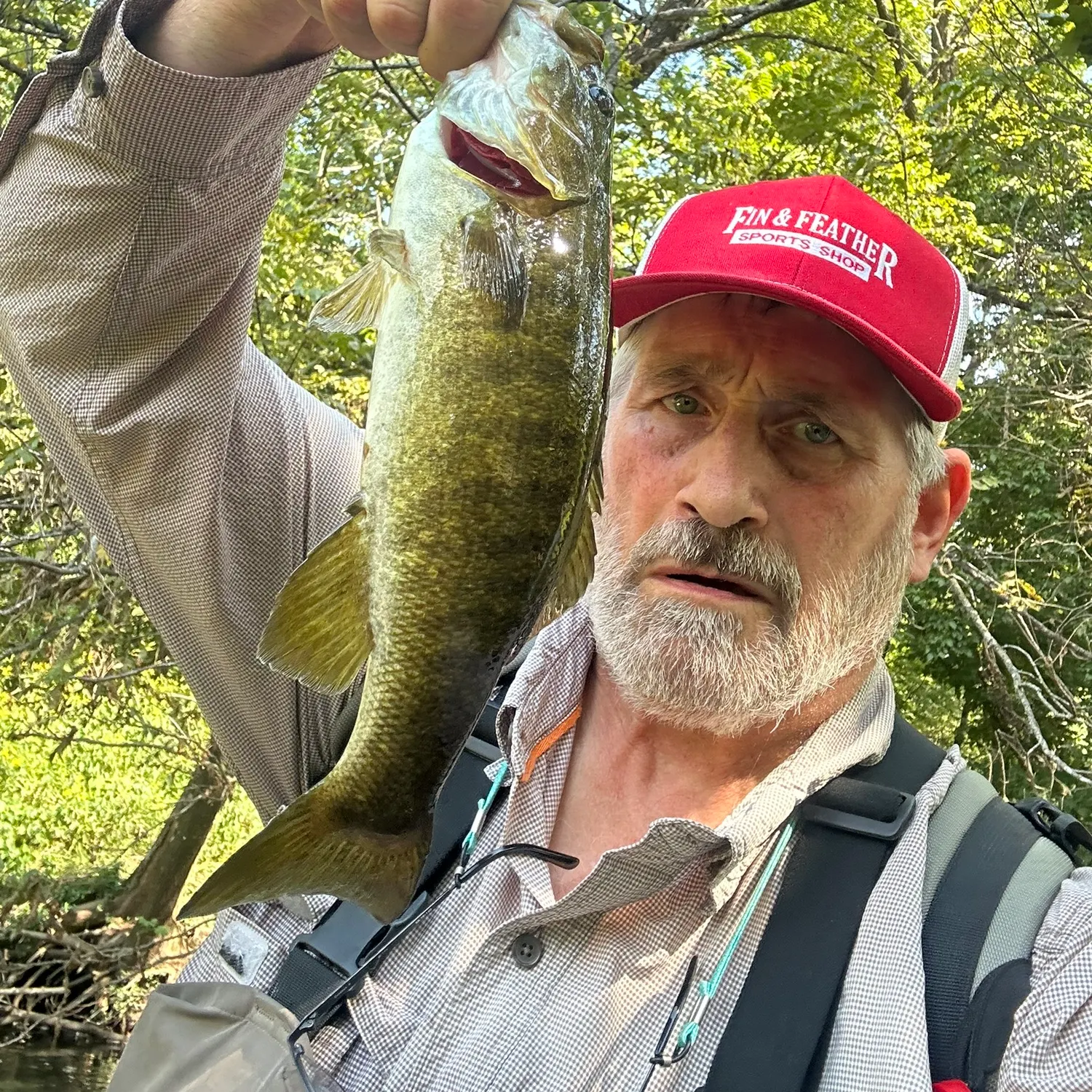 Smallmouth bass caught on Fishbrain