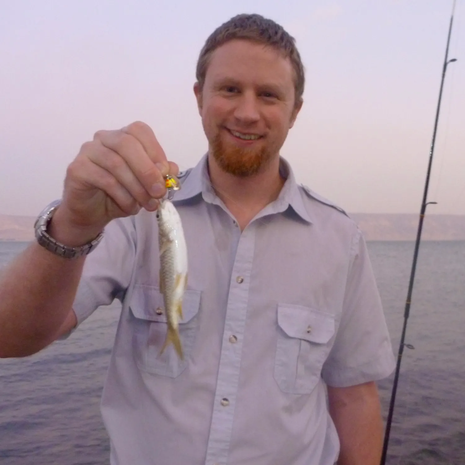 The most recent Mediterranean barbel catches on Fishbrain
