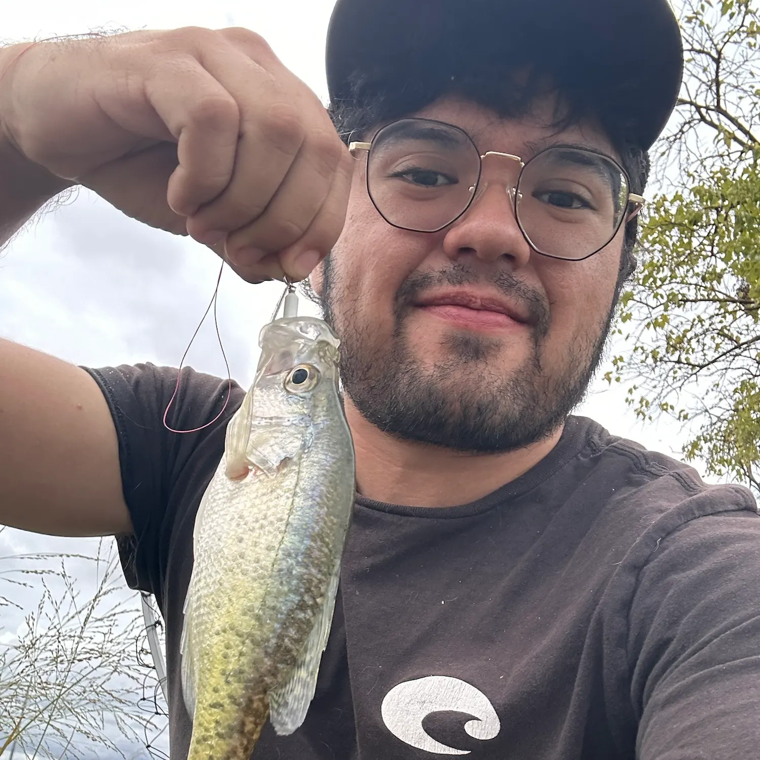 White crappie caught on Fishbrain