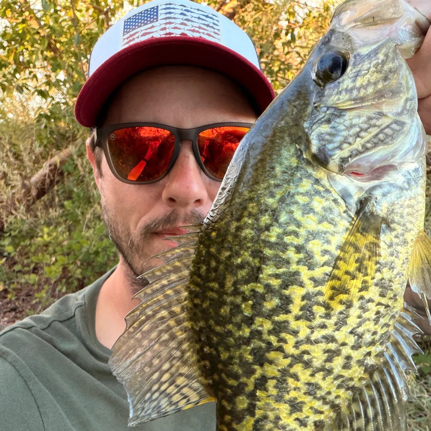 Black crappie caught on Fishbrain