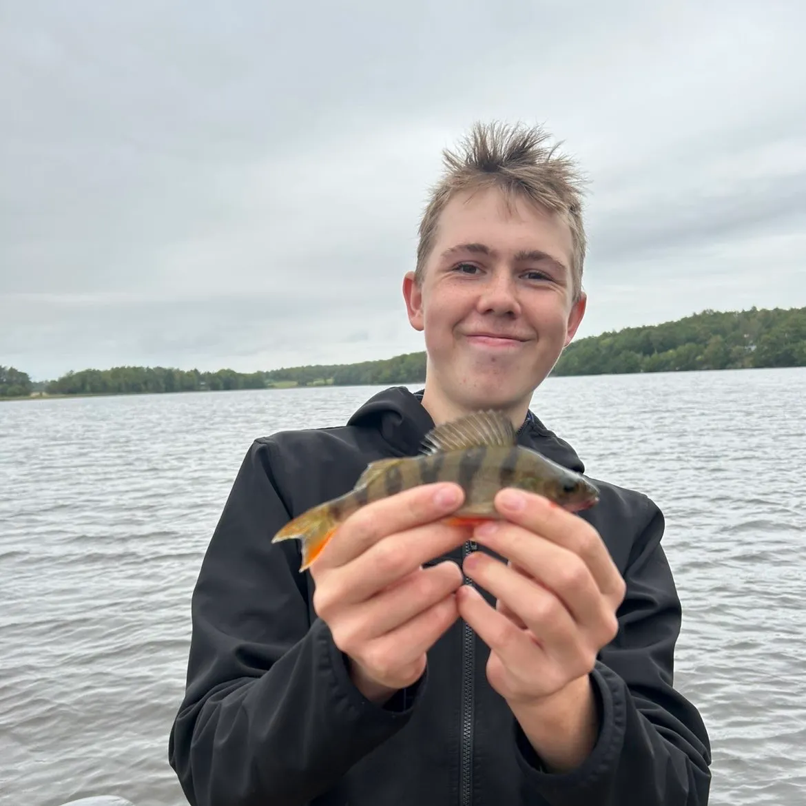 European perch caught on Fishbrain