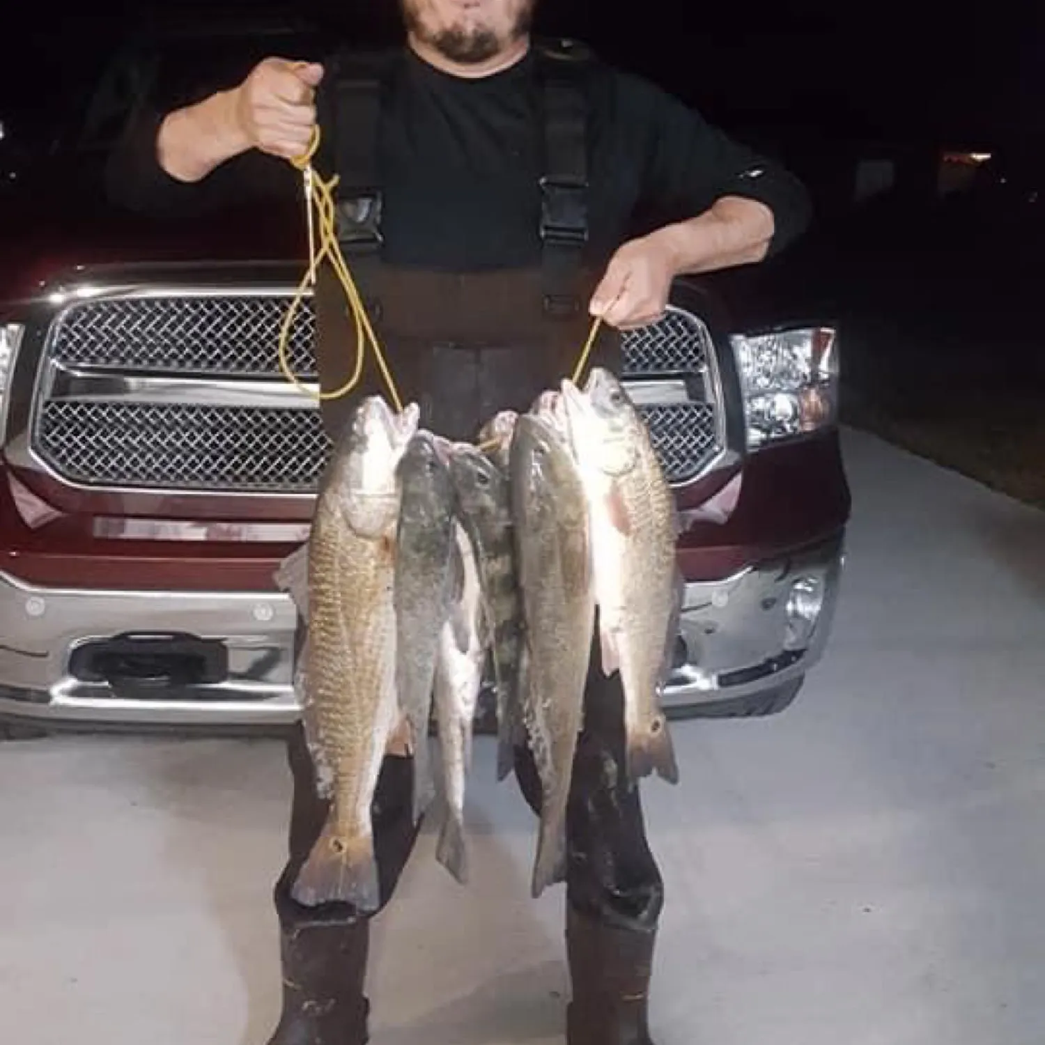 Black drum caught on Fishbrain