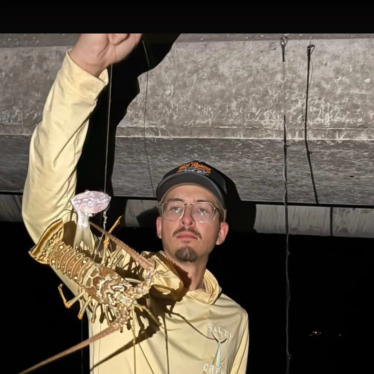 The most recent Caribbean spiny lobster catches on Fishbrain