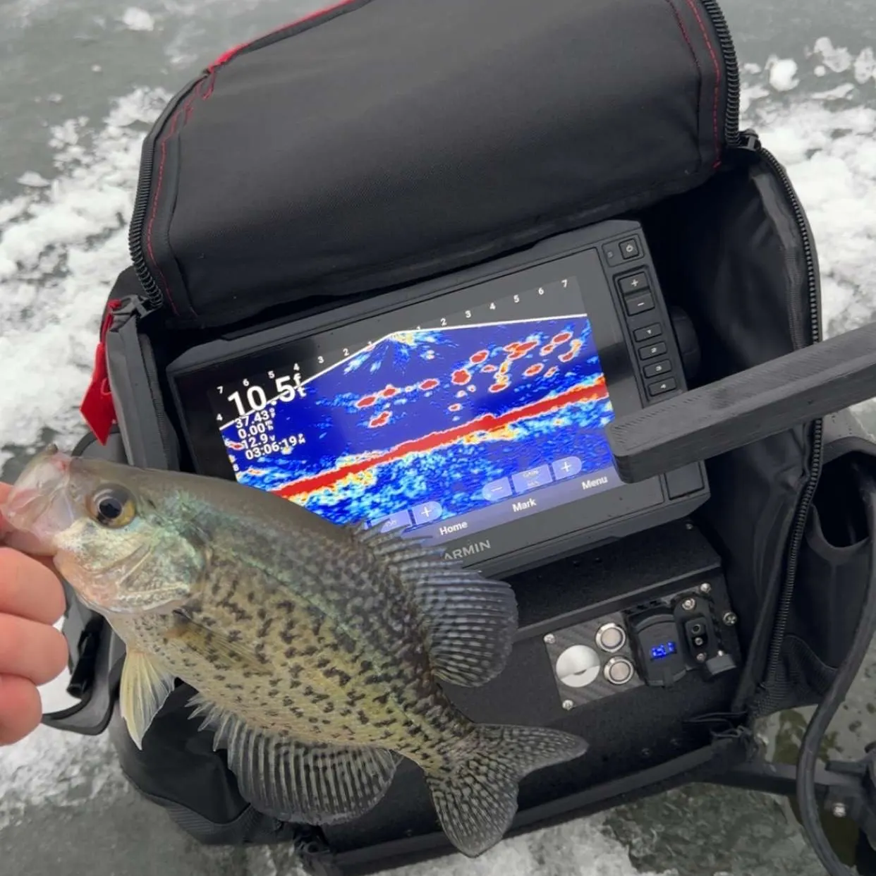 The most recent Black crappie catches on Fishbrain