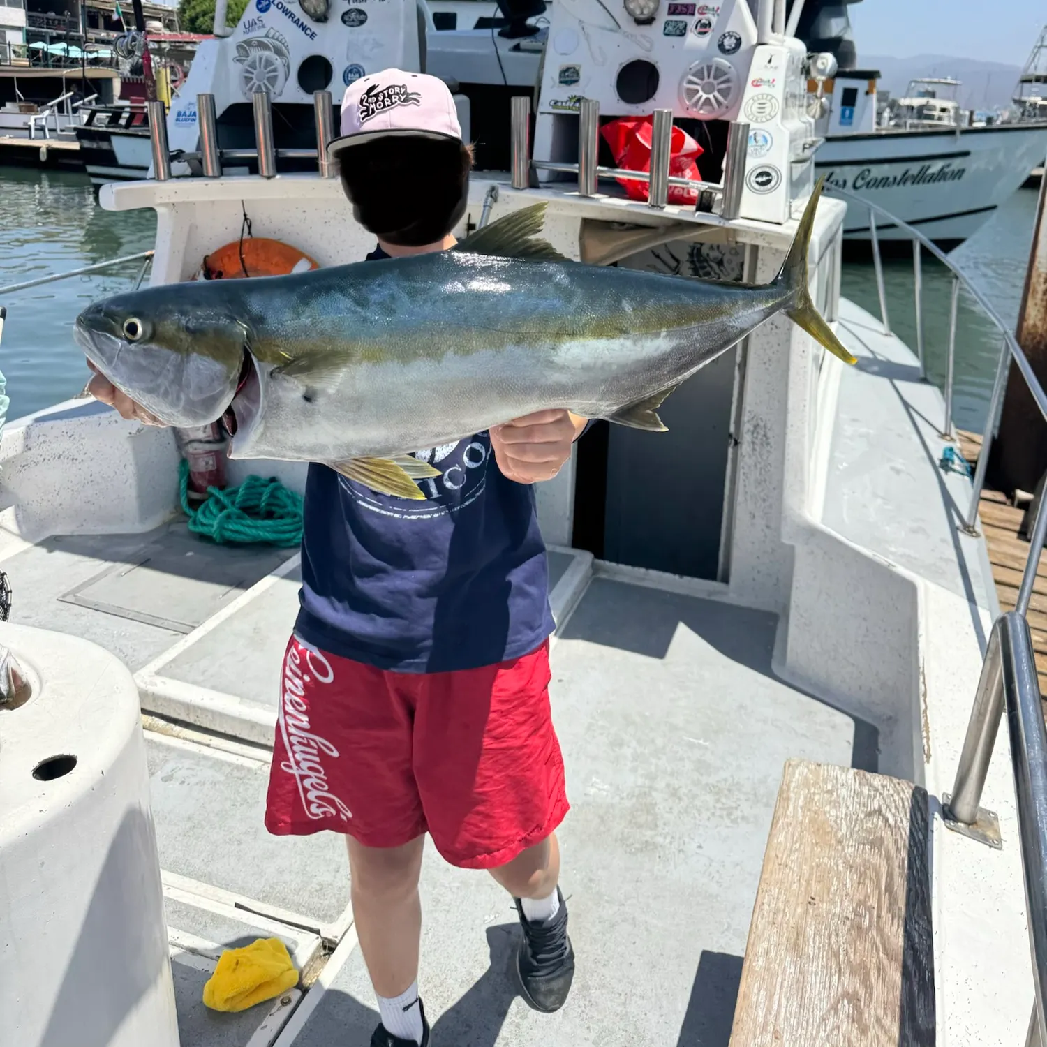 The most recent California yellowtail amberjack catches on Fishbrain