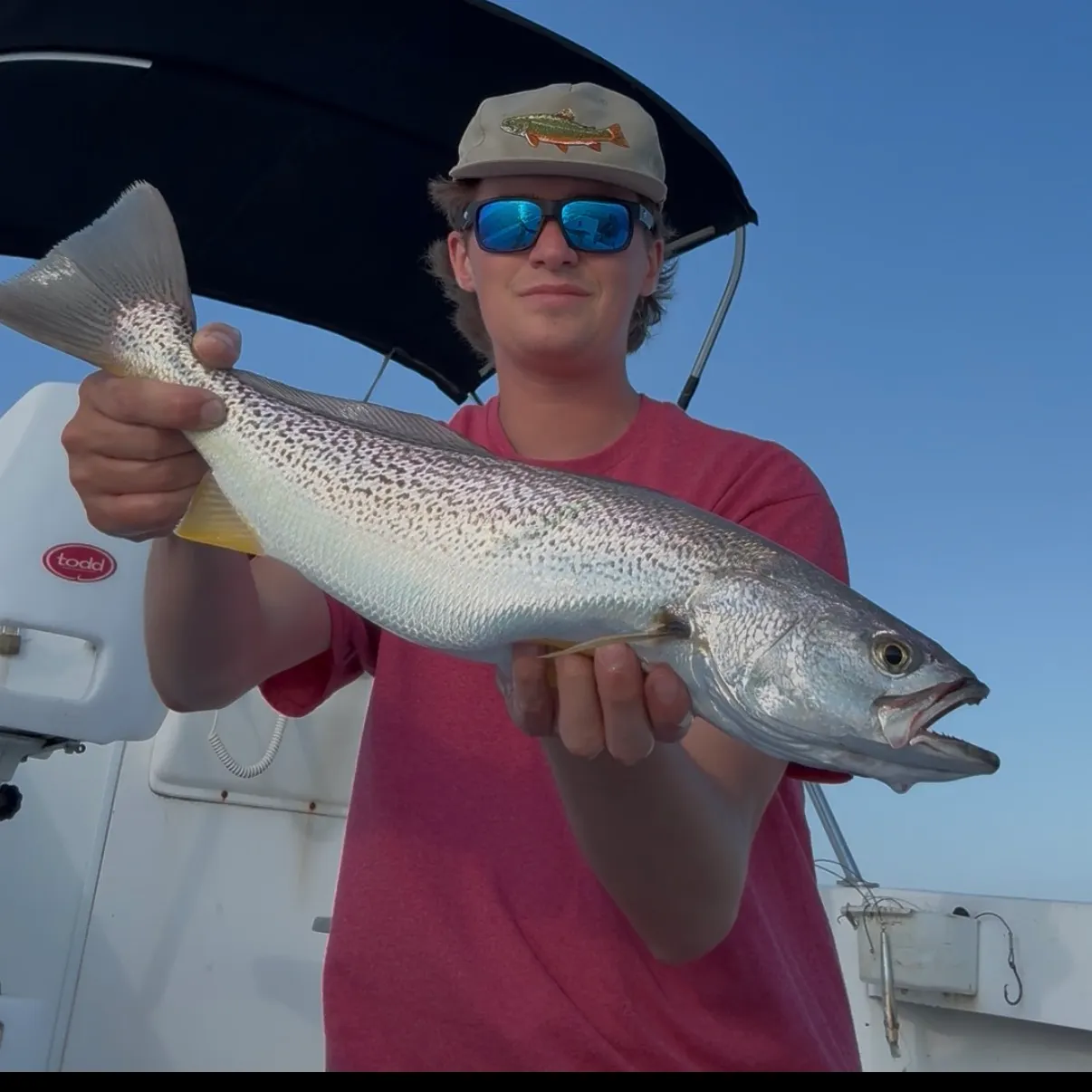Gray weakfish caught on Fishbrain