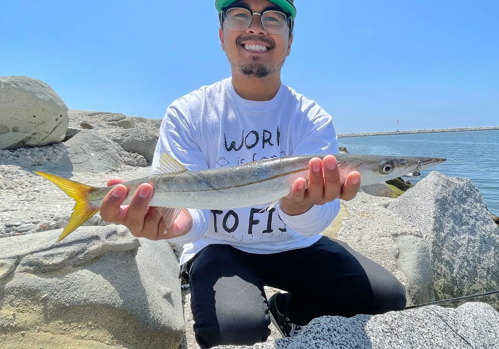 Pacific barracuda