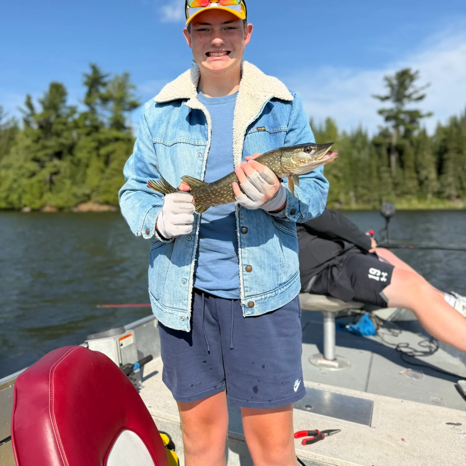 Northern pike caught on Fishbrain