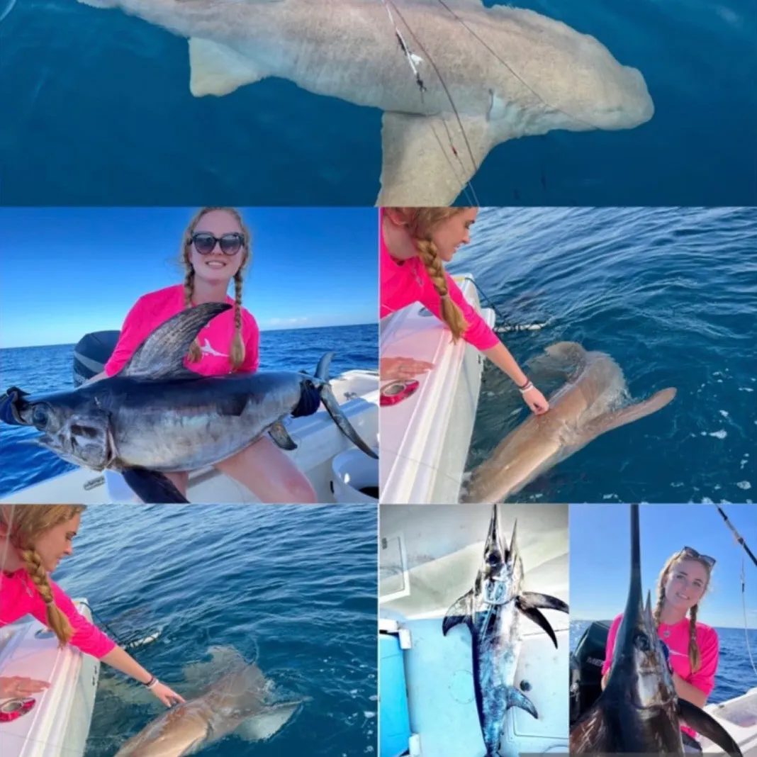 The most recent Nurse shark catches on Fishbrain