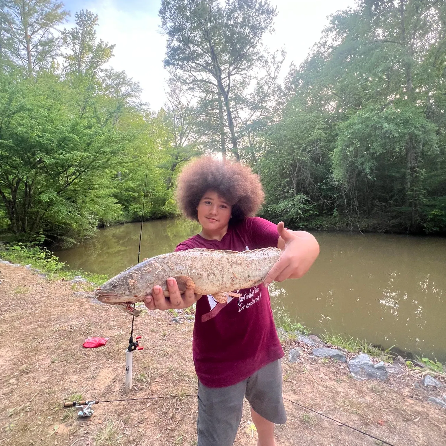 The most recent Ruddy bowfin catches on Fishbrain