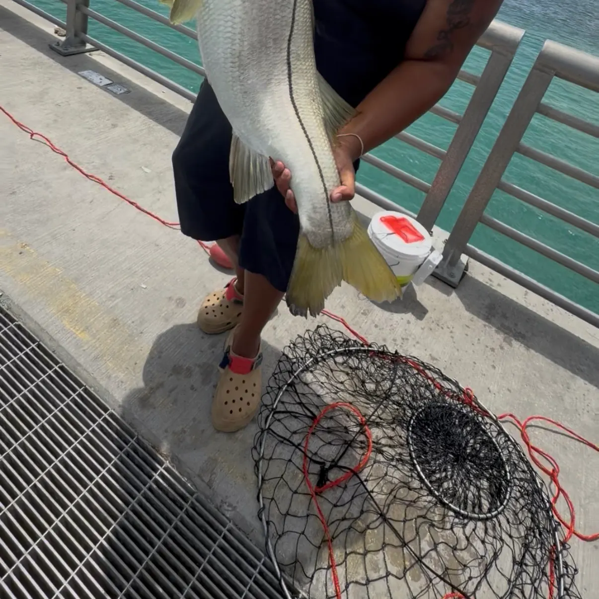 catch