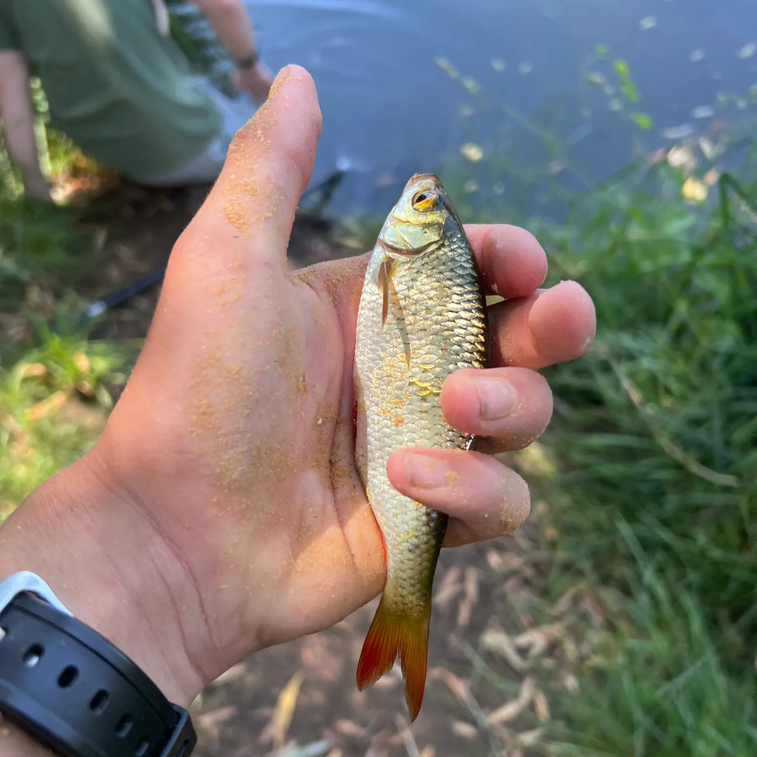 catch