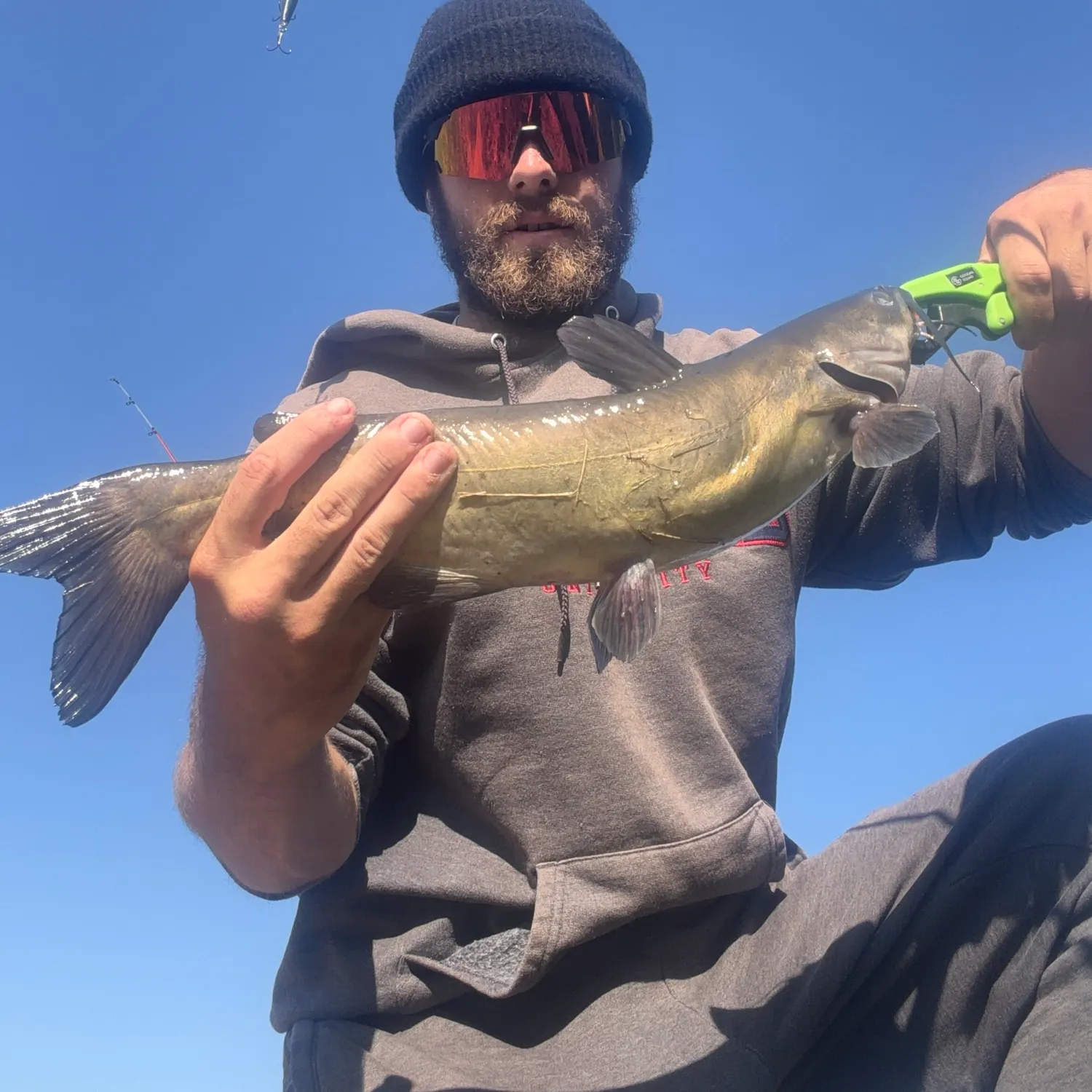 Channel catfish caught on Fishbrain