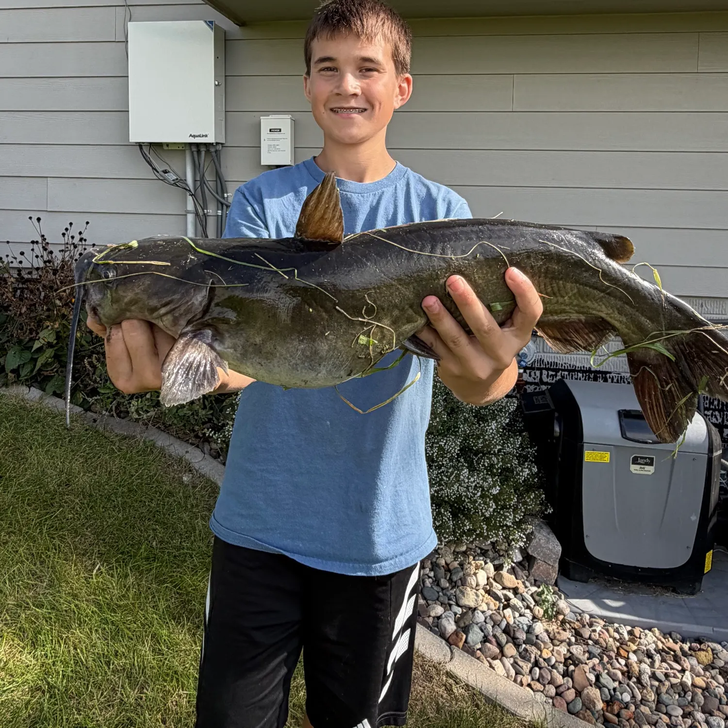 Channel catfish caught on Fishbrain