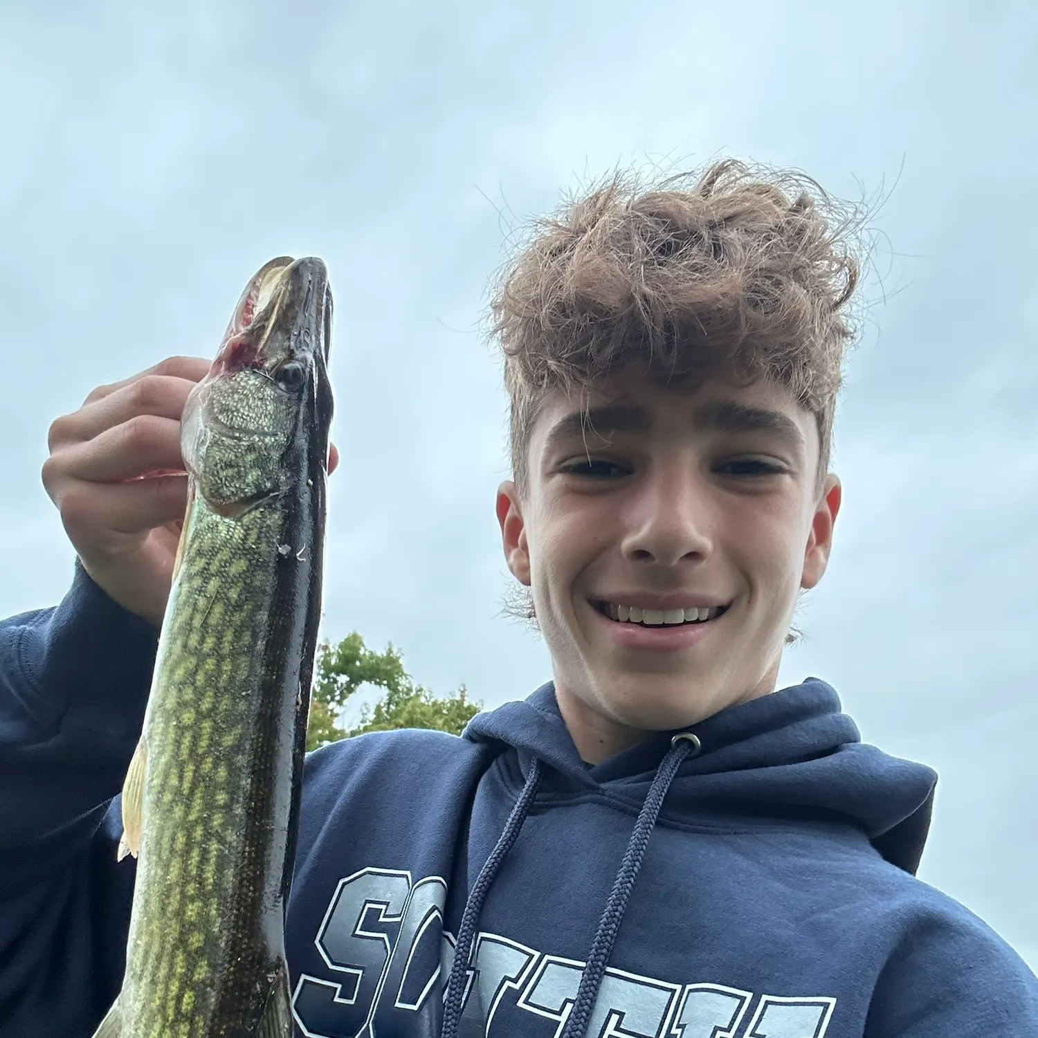 Chain pickerel caught on Fishbrain